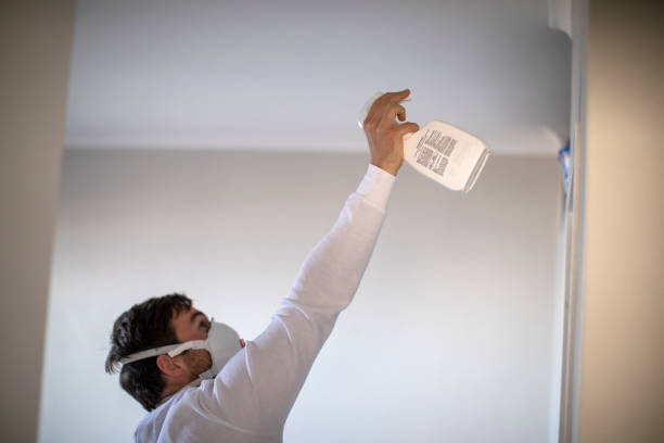 Best Mold Remediation Experts  in York, PA