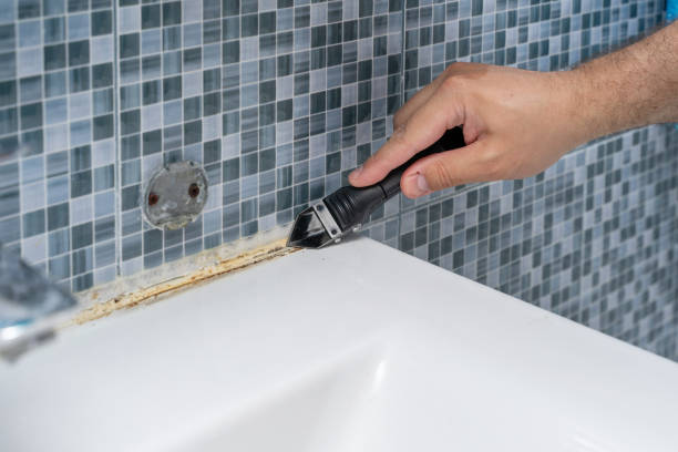 Best Affordable Mold Removal  in York, PA